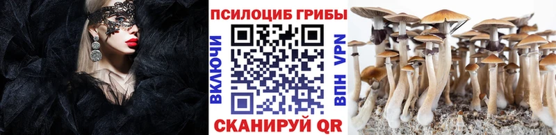 Псилоцибиновые грибы MAGIC MUSHROOMS  Электросталь 