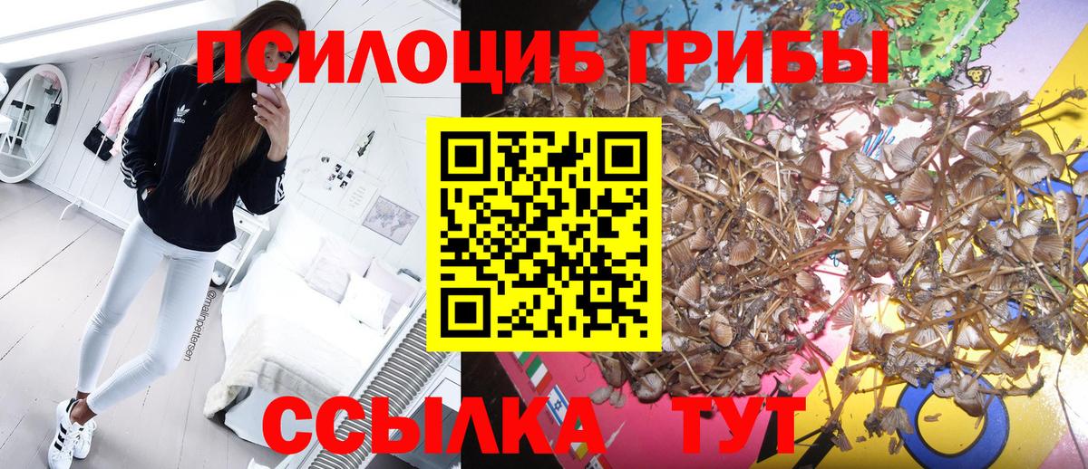 Галлюциногенные грибы Psilocybe  Галлюциногенные грибы мухоморы  Электросталь  Вход с VPN 